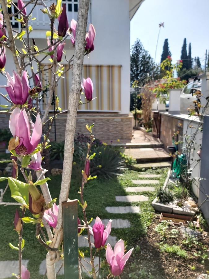 La Perla Della Conca D'Oro Villa ปาแลร์โม ภายนอก รูปภาพ